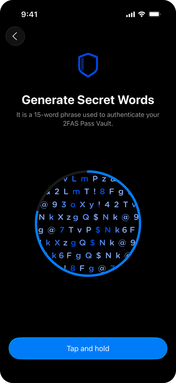 Beyond native security standards