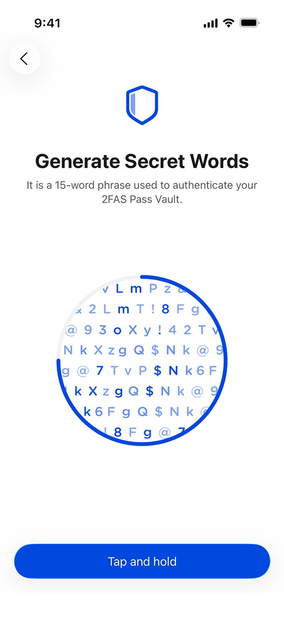 Beyond native security standards